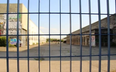 Inventaire 2025 des friches, la synthèse
