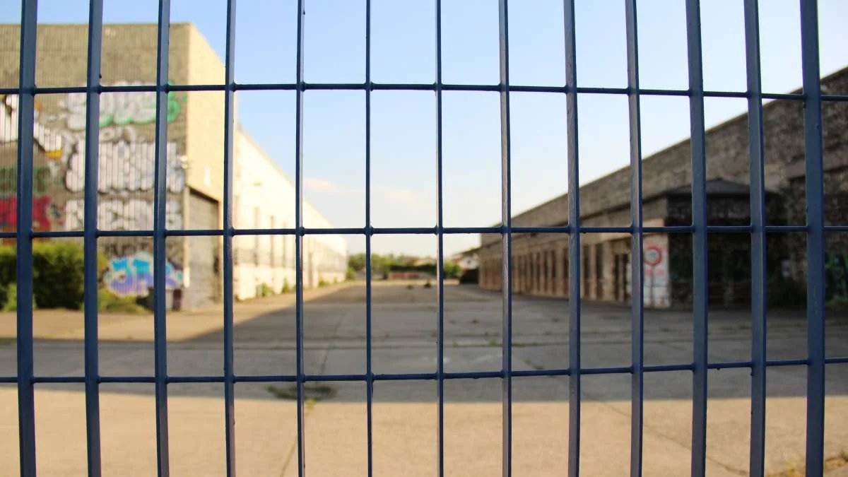 Inventaire 2025 des friches, la synthèse