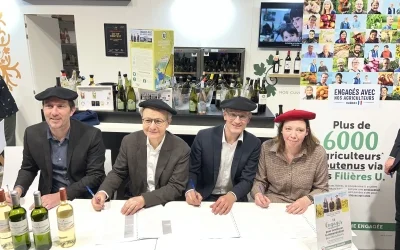 Coopérative U lance sa première filière viticole