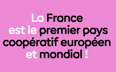 Panorama des coopératives 2026 : une économie de proximité à grande échelle