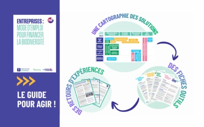 Un guide à destination des entreprises pour le financement de la biodiversité