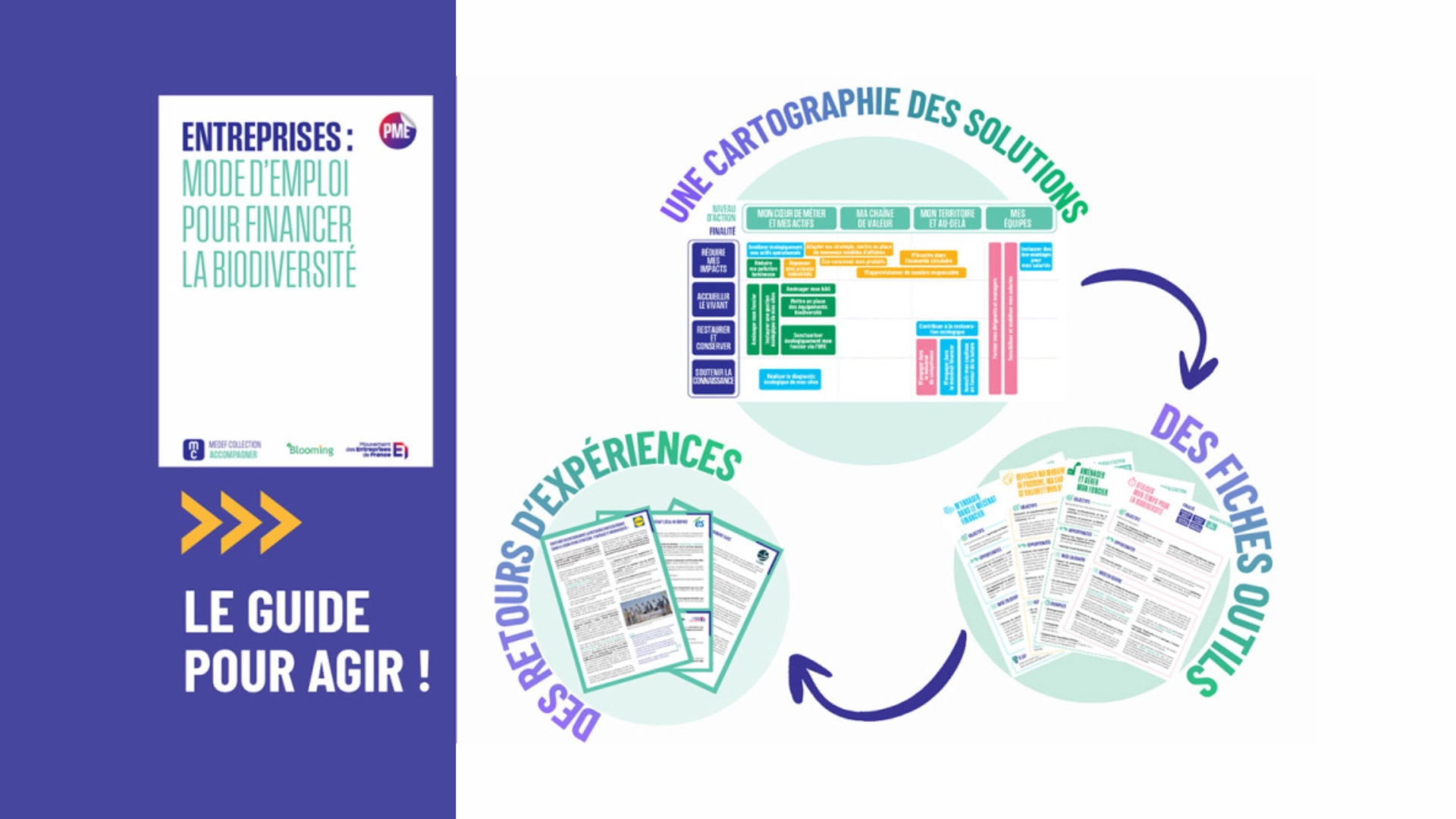 Un guide à destination des entreprises pour le financement de la biodiversité