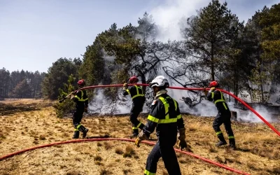 Incendies en Gironde et dans les Landes : dispositifs d’urgence pour les entreprises