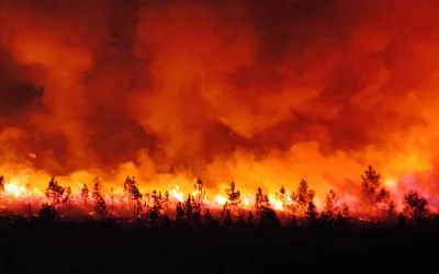 Incendies : la FCA mobilisée pour l’accompagnement et la prise en charge des entreprises du commerce