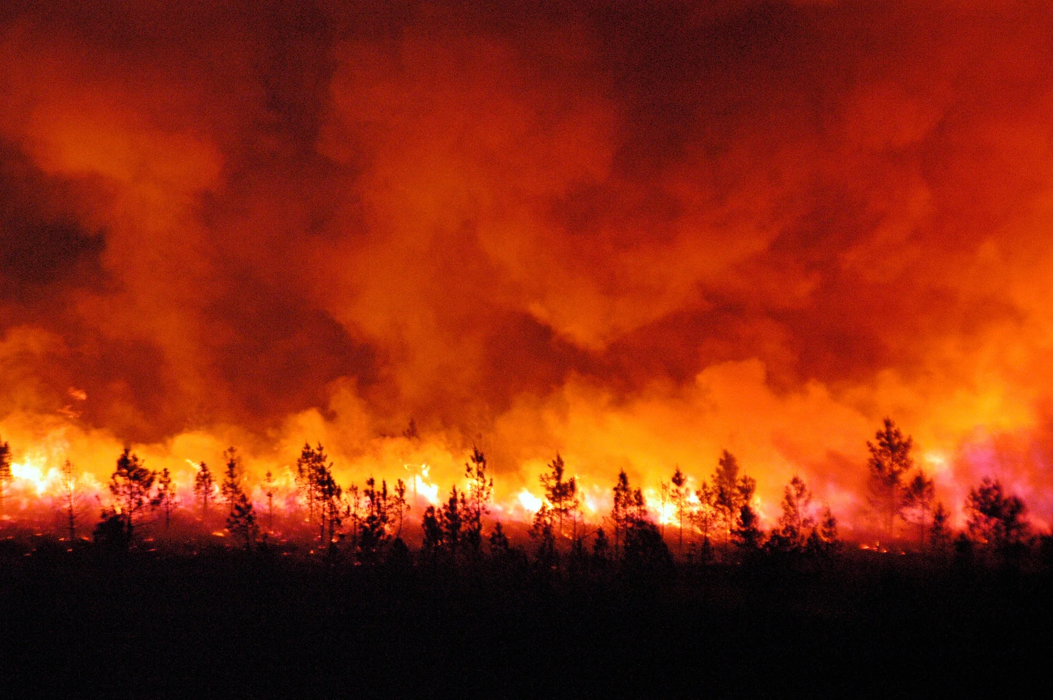 Incendies : la FCA mobilisée pour l’accompagnement et la prise en charge des entreprises du commerce