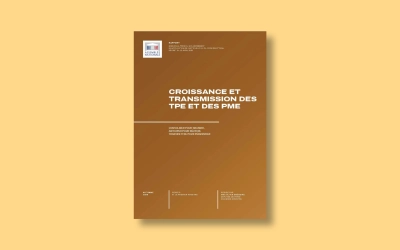 Rapport Croissance et Transmission des TPE et des PME